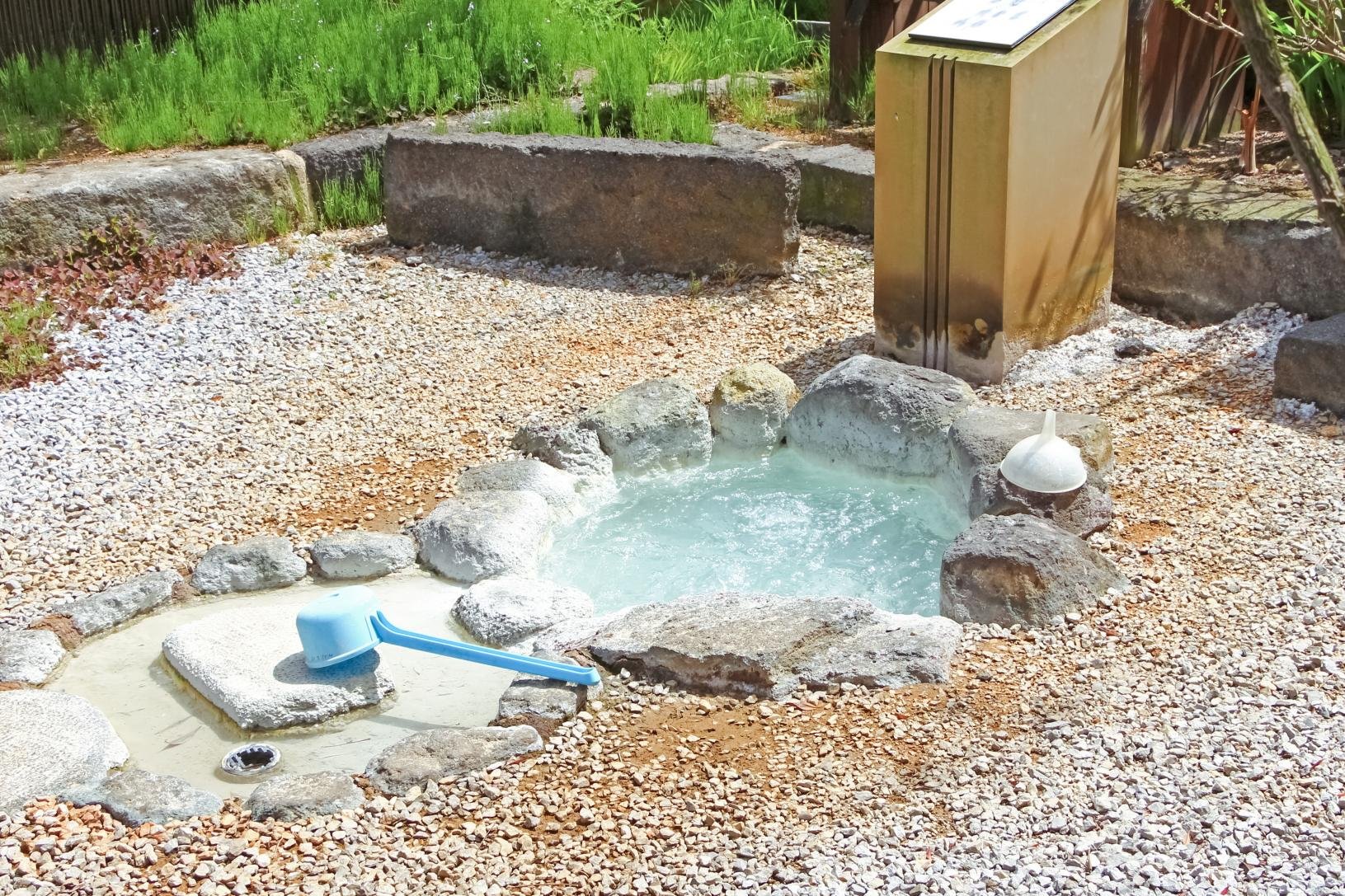 ♨️ 천연 온천 하나사키노유 (天然温泉 花咲の湯) 이미지 4